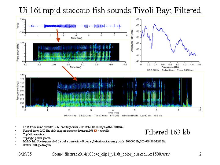 Filtered Unknown staccato